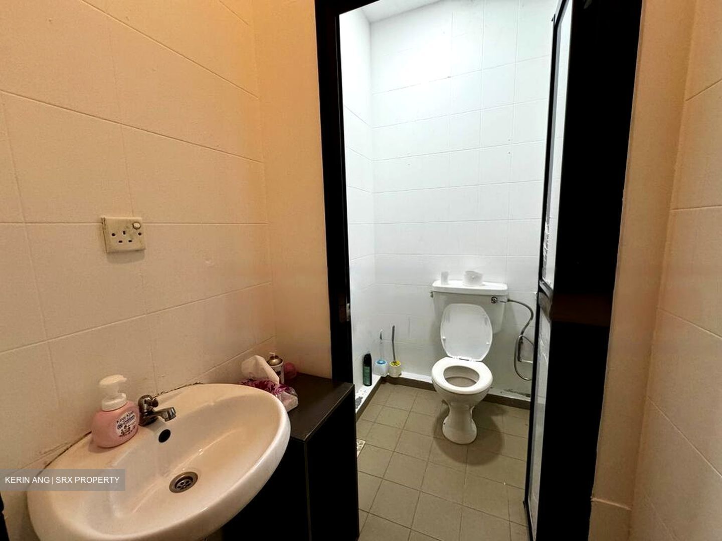 Tanjong Pagar Conservation Area (D2), Shop House #464532741